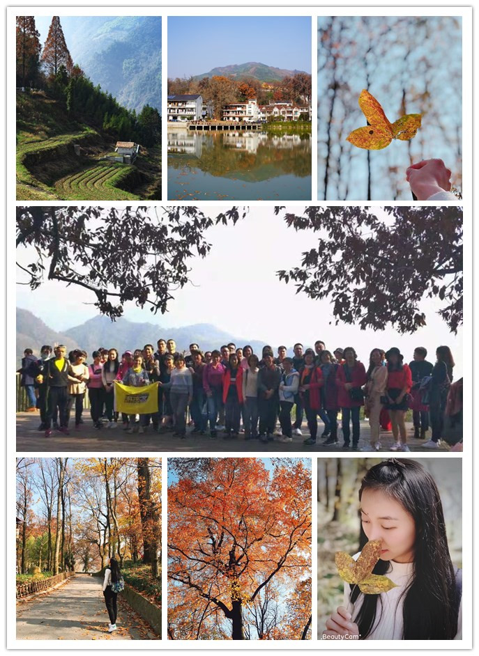 球盟会电子交易市场组织“指南村赏秋”活动