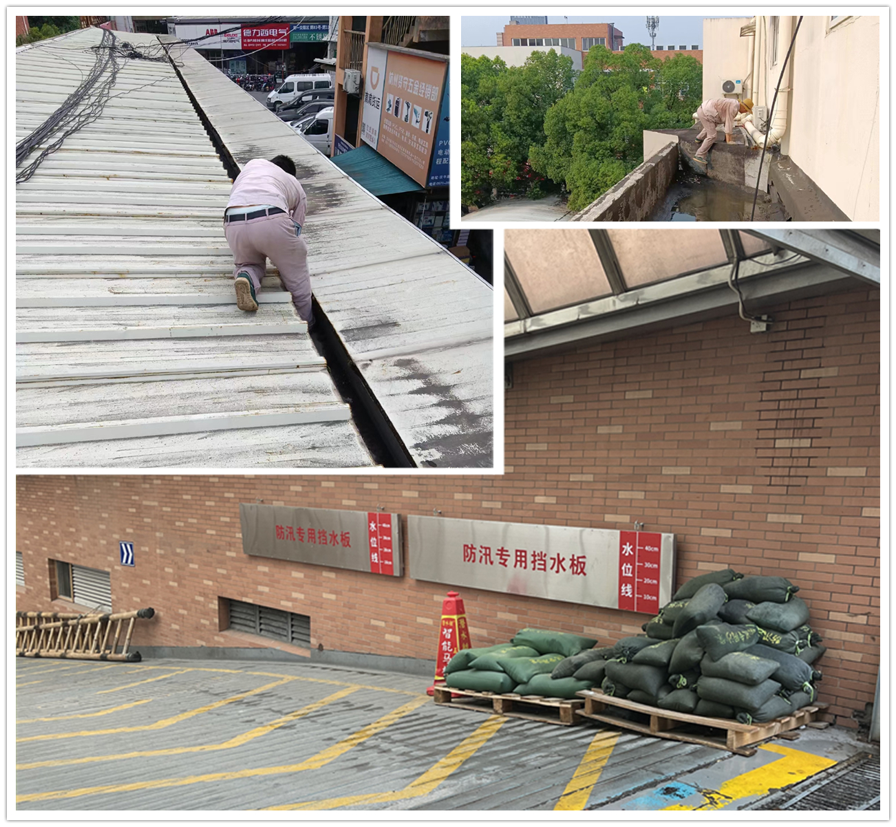 应对台风“梅花” 球盟会市场在行动