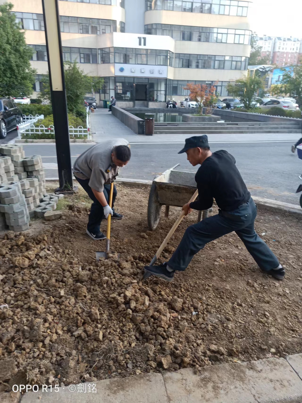 庐阳球盟会文创园开展环境优化行动