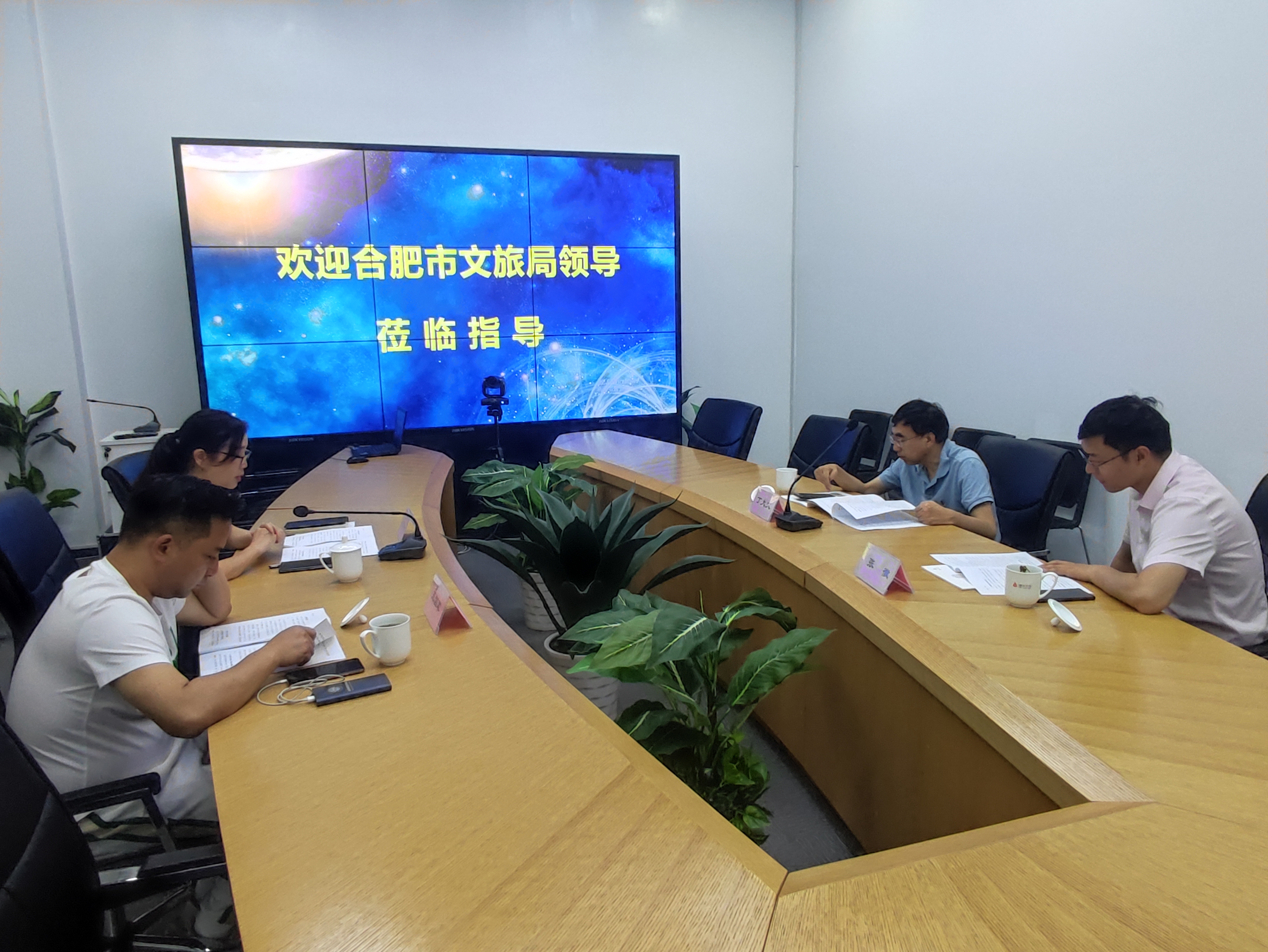 合肥市文化旅游局丁大文处长一行莅临球盟会文创集团调研