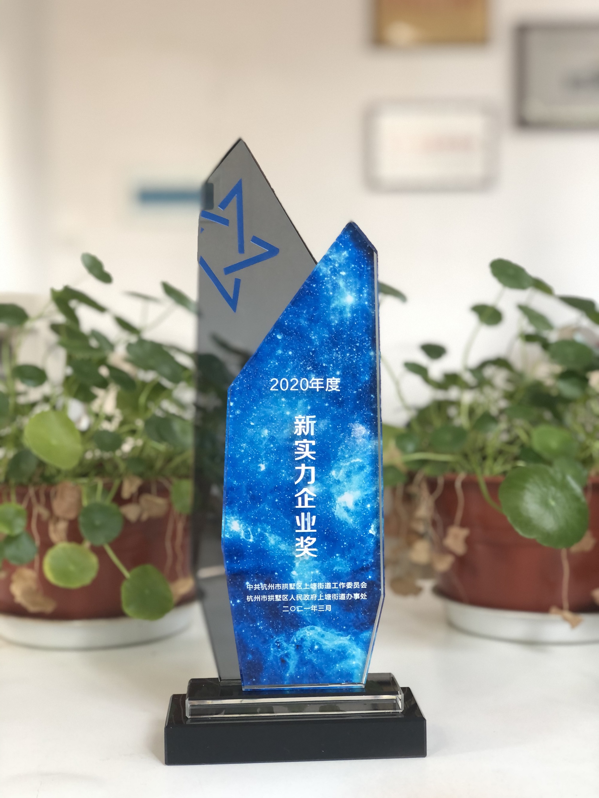 新实力企业奖.jpg 新实力企业奖.jpg