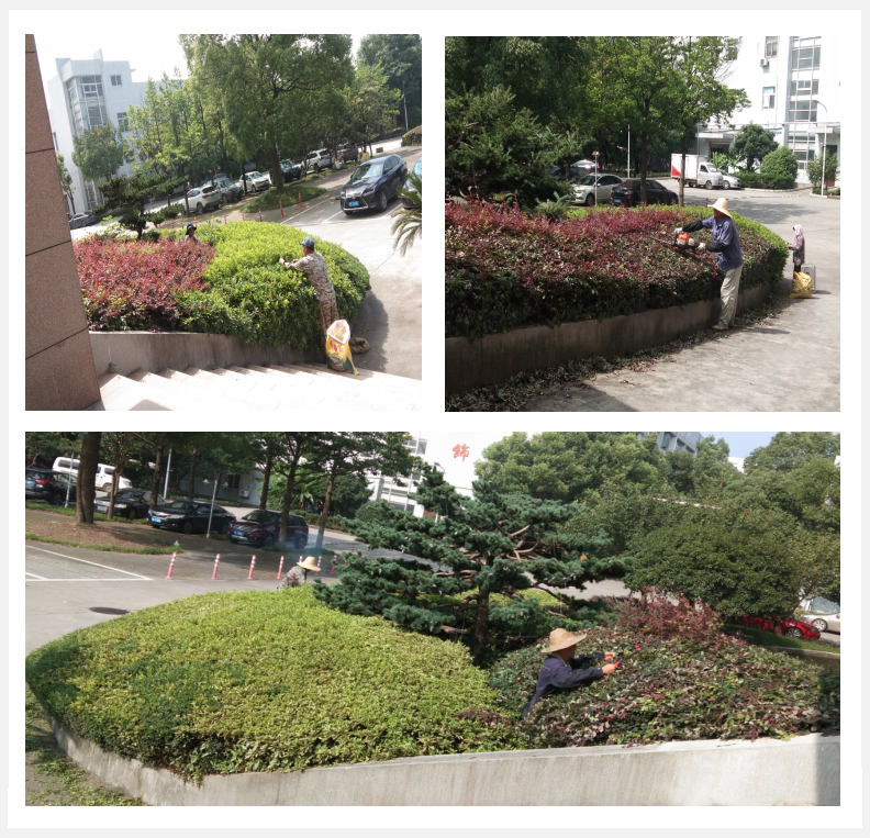 图片7.png 图片7.png