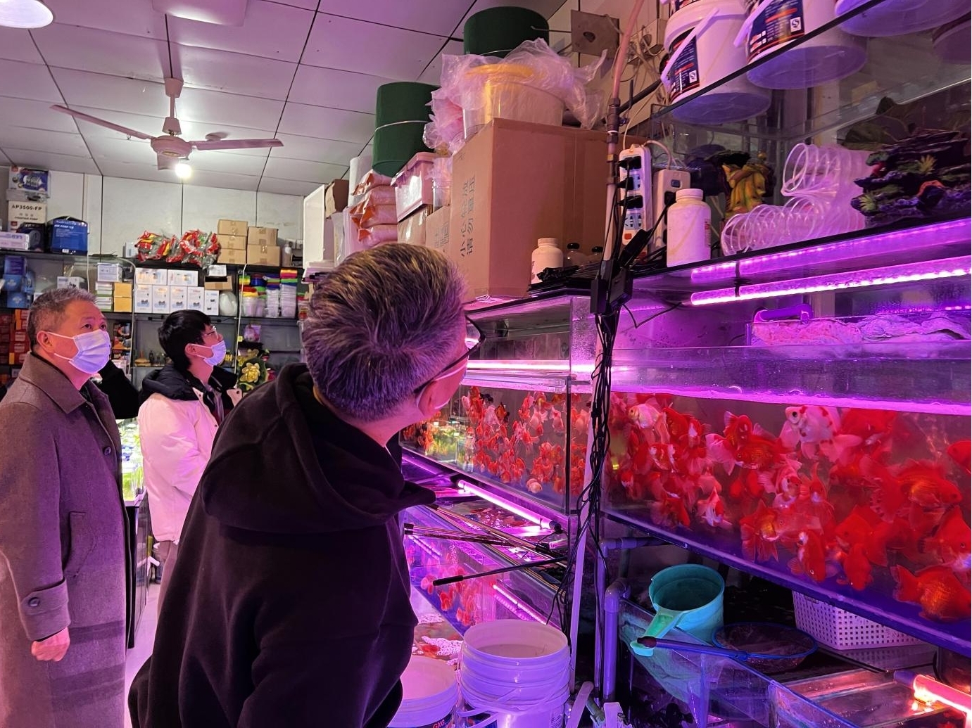 图片2.jpg 图片2.jpg