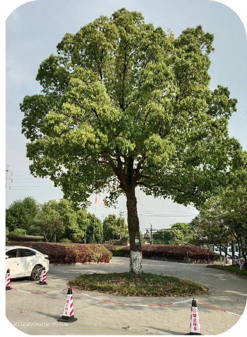 微信图片_20220412190314.jpg 微信图片_20220412190314.jpg